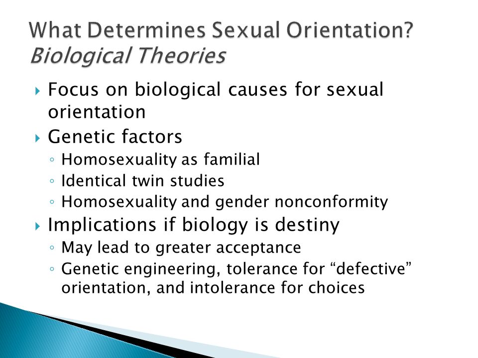 Twins and sexual orientation and genes